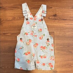 OshKosh B'gosh Kids Overalls - Gray with Floral Print